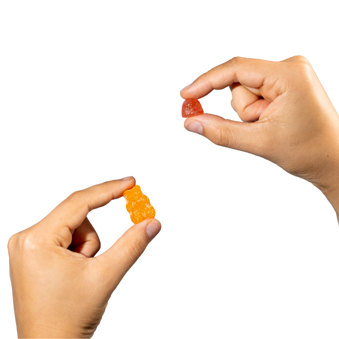 BF Fully Loaded Pack (1 of Everything!)