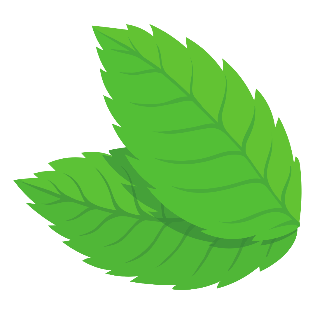 mint - button
